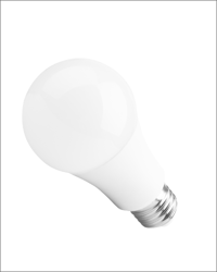 Standard LED Light Bulb