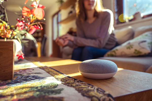 Millenial Voice Assistant Users