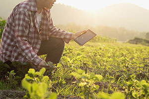 local-farmers-working