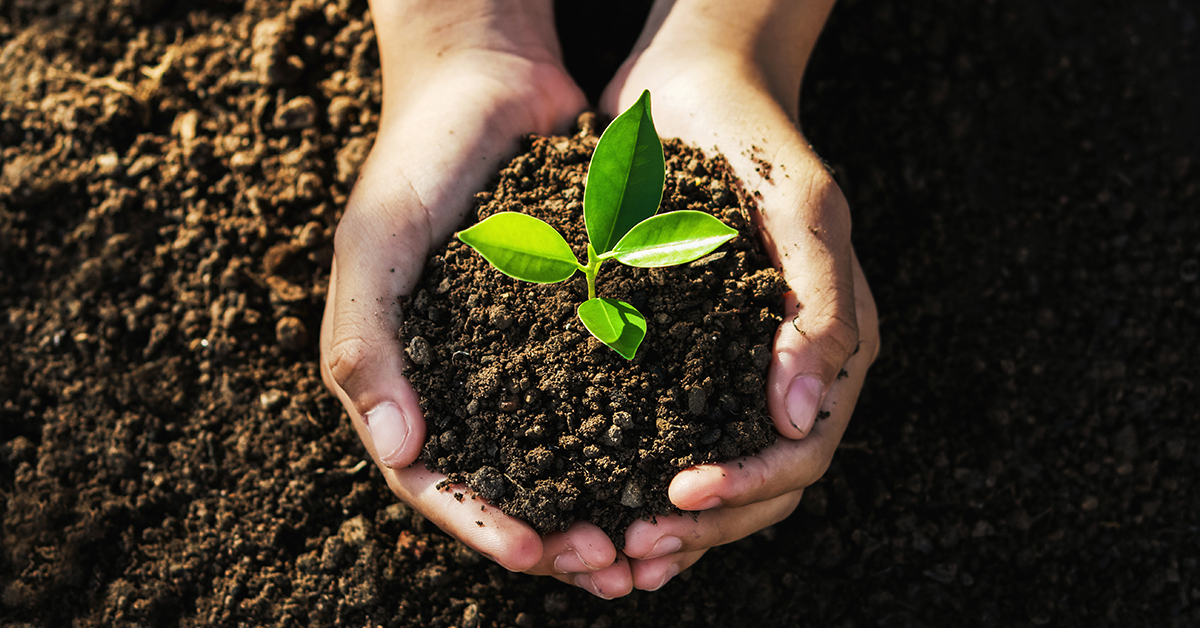 new planting earth day 2022