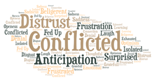 conflicted-word-cloud